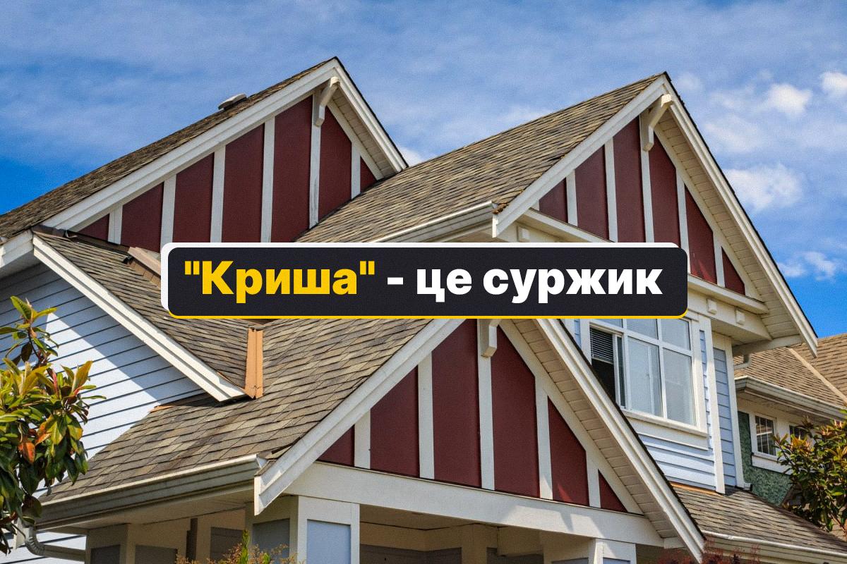 Слова "криша" в украинском языке нет / коллаж УНИАН, фото ua.depositphotos.com Слова "криша" в украинском языке нет / коллаж УНИАН, фото ua.depositphotos.com
