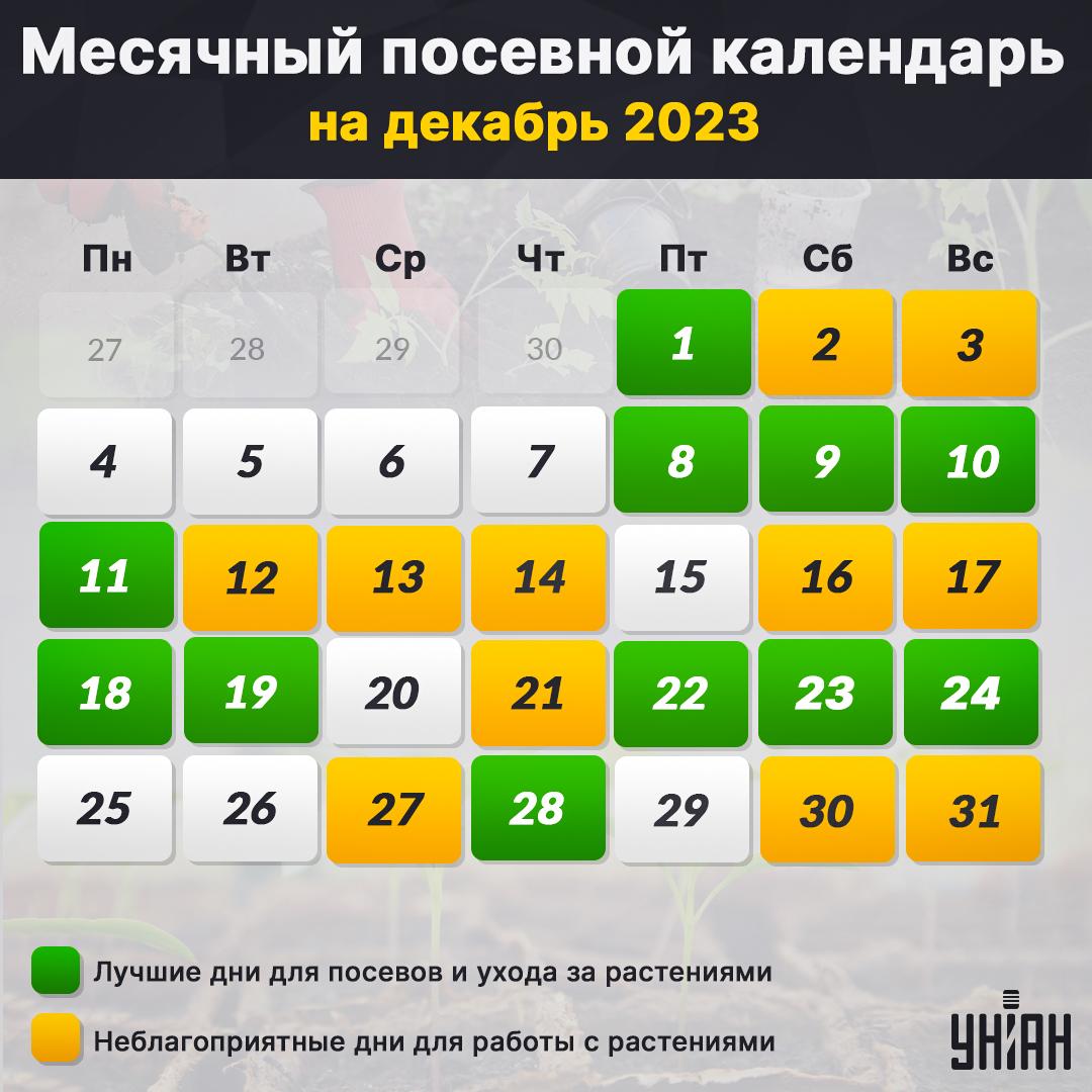 Лунный посевной календарь на декабрь 2023 таблица / картинка УНИАН Лунный посевной календарь на декабрь 2023 таблица / картинка УНИАН
