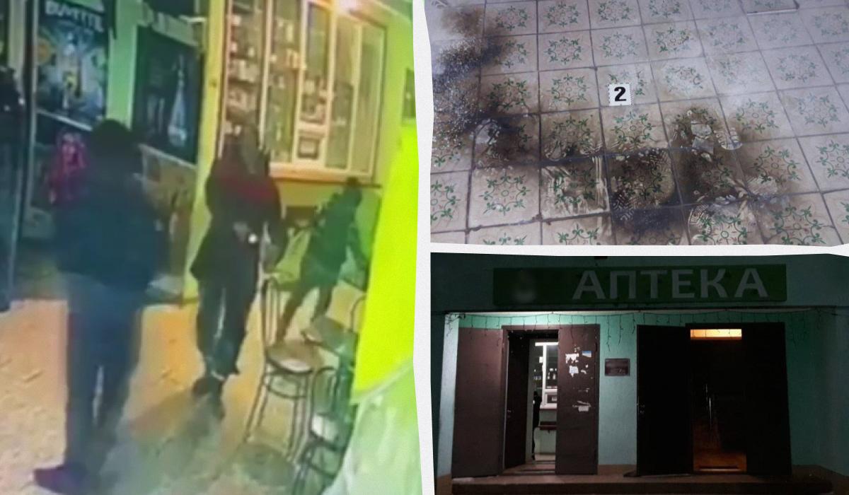 Нападение на детей в селе Станичное / Коллаж УНИАН / скриншот, фото Нацполиции Нападение на детей в селе Станичное / Коллаж УНИАН / скриншот, фото Нацполиции