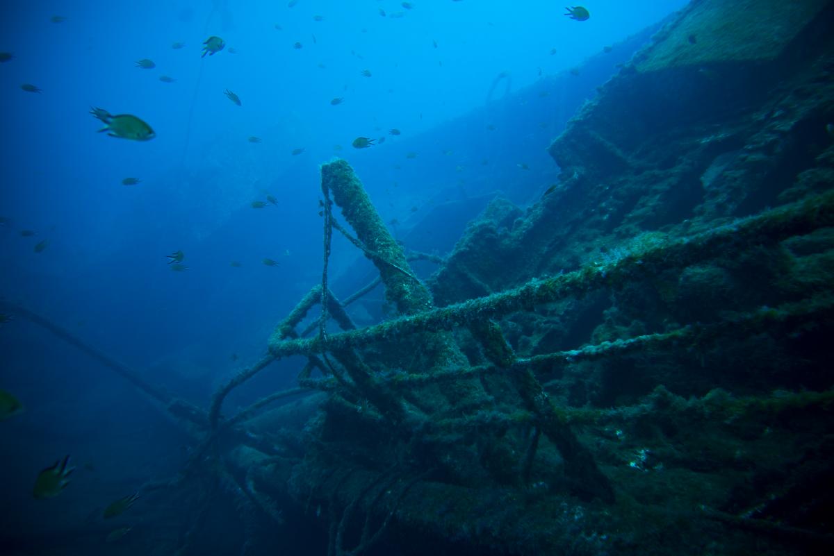 Численность морской жизни выше в местах затонувших кораблей / фото ua.depositphotos.com Численность морской жизни выше в местах затонувших кораблей / фото ua.depositphotos.com