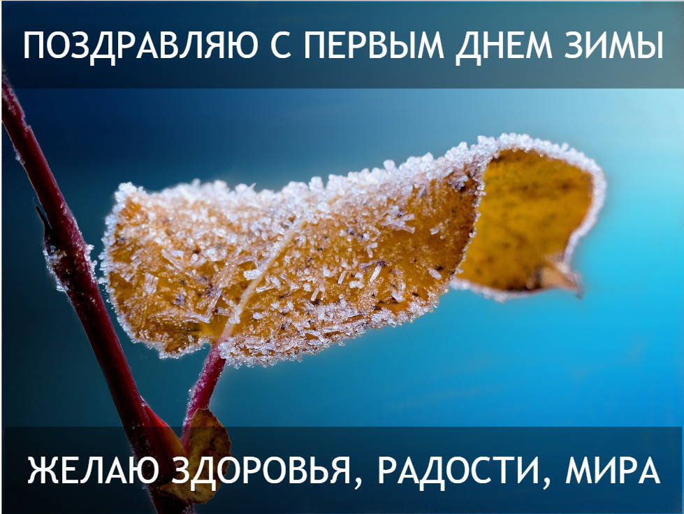 С первым днем зимы картинки / фото pixabay.com С первым днем зимы картинки / фото pixabay.com