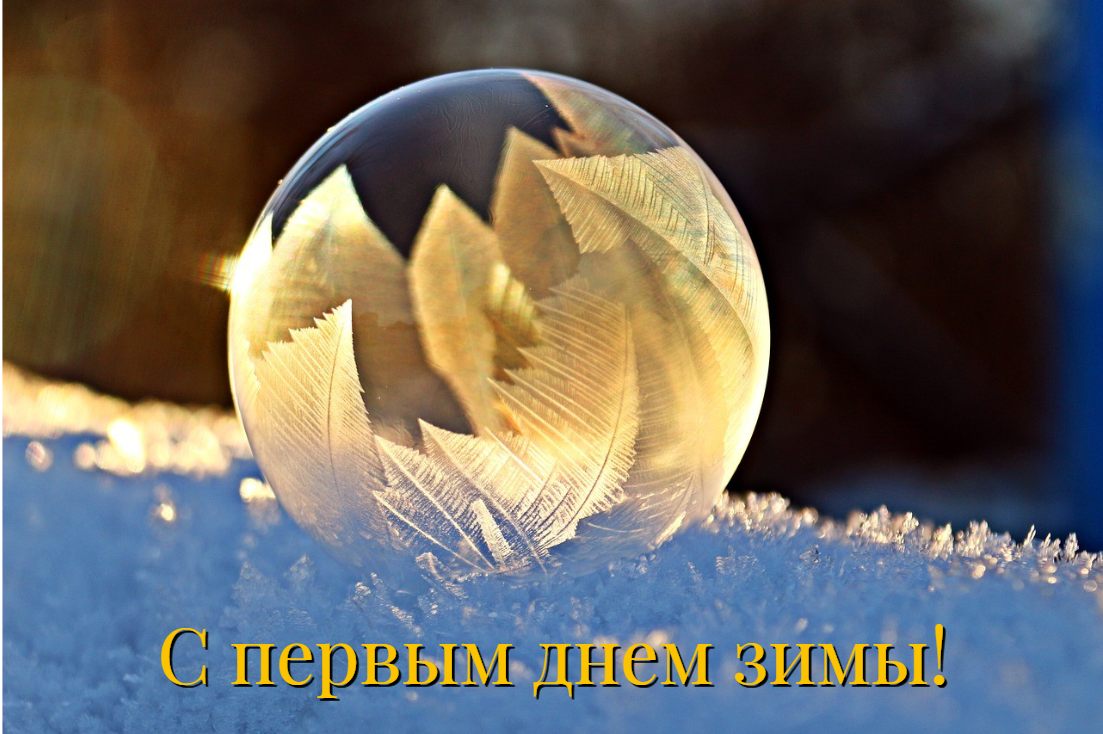 С первым днем зимы картинки pixabay.com С первым днем зимы картинки pixabay.com