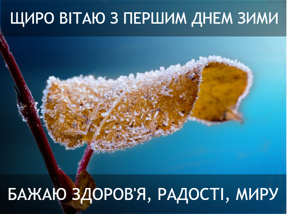 З першим днем зими: красиві привітання та зимові картинки З першим днем зими: красиві привітання та зимові картинки