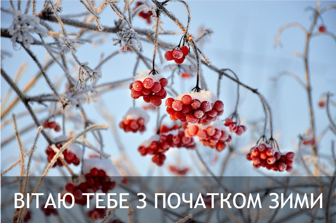 З першим днем зими: красиві привітання та зимові картинки З першим днем зими: красиві привітання та зимові картинки
