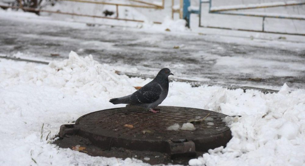 погода в чугуеве харьковской области на месяц