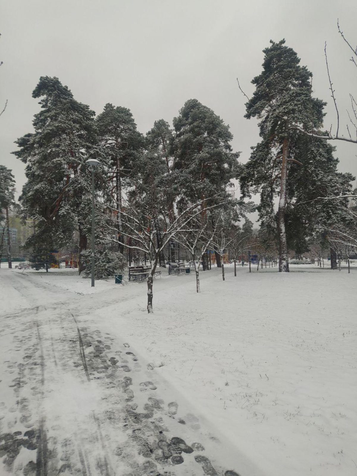 Фото Киев ночью засыпало первым снегом 22 ноября 2023