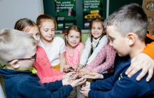 Эпицентр будет оплачивать переработку батареек из 1000 школ и подъездов Украины. Как принять участие