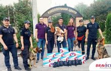 Торгово-промышленная группа компаний "СВІТ АГРО" обеспечивает военных собак ветеринарными препаратами