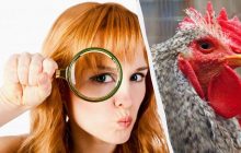 Только гениальный детектив найдет 5 отличий за 15 секунд: очень интересная головоломка