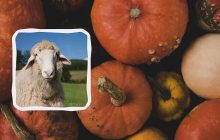 Народный праздник 11 ноября: что нельзя делать сегодня, чтобы избежать беды