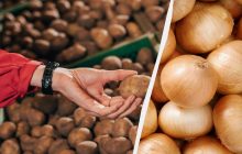 Только очень способные увидят луковицу в картофеле за 5 секунд: странная оптическая иллюзия