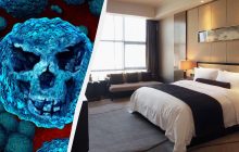 Розсадник стаффілококів і клопів: названі найбрудніші предмети в готельних номерах