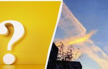 Птица или небо: этот удивительно точный тест покажет, как повлиял на вас 2023 год