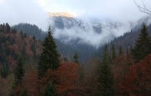 Більше трьох діб блукав у горах: ухилянт, якого виявили на Закарпатті, помер у лікарні