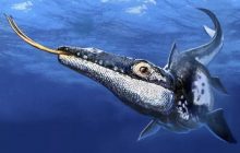 Обнаружен неизвестный ранее "грозный" хищник, правивший морем 90 миллионов лет назад