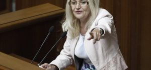 В Украине снимут true crime-фильм об убийстве Фарион: что известно