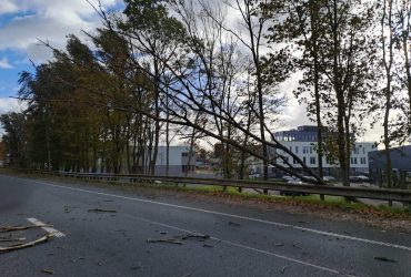 У Бельгії під час шторму загинув п'ятирічний хлопчик з України