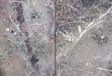 В Україні кинутий напризволяще окупант у відчаї підірвав себе (відео)