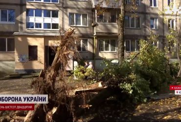 Массовые обесточивания, поваленные деревья, подтопления: непогода натворила беды в 8 регионах