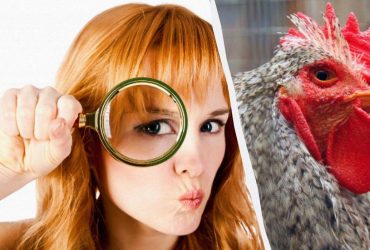 Лише геніальний детектив знайде 5 відмінностей за 15 секунд: дуже цікава головоломка