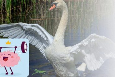 Лише обдаровані знайдуть 3 відмінності за 30 секунд: головоломка на уважність