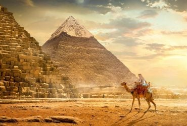 Ученые наконец разгадали тайну павианов Древнего Египта