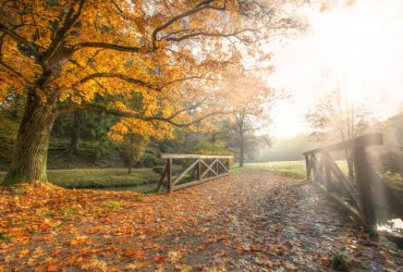 Жовтень став найтеплішим у світі за всю історію спостережень