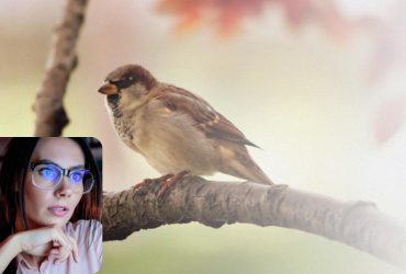 Тільки люди з ідеальним зором знайдуть горобчика за 11 секунд: надскладна оптична ілюзія