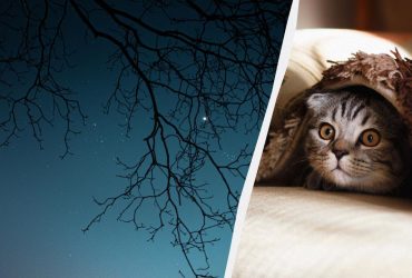 Протипоказано: що можна змінити і що не можна робити на молодик 13 листопада