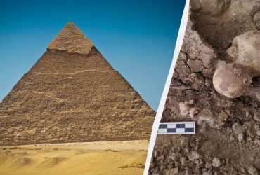 У тазу стародавньої єгиптянки виявили пухлину з зубами (фото)