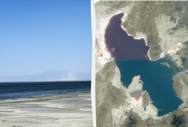 Посухи загрожують людству неочікуваною небезпекою поширення нейротоксинів