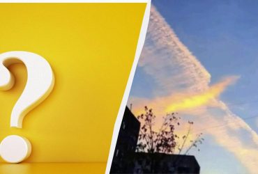 Птица или небо: этот удивительно точный тест покажет, как повлиял на вас 2023 год