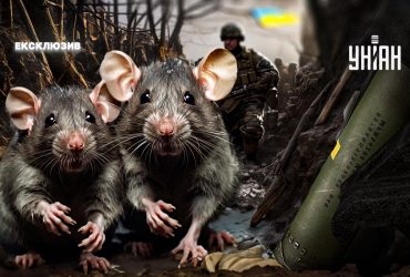 Мышиные диверсии. Полевые мыши, валившие римских диктаторов и уничтожавшие танки Третьего Рейха, атакуют окопы ВСУ и российских оккупантов