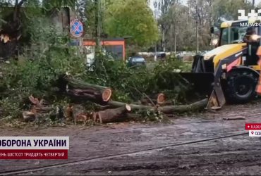Первый снег с заморозками и ураганом наделали вреда в Украине