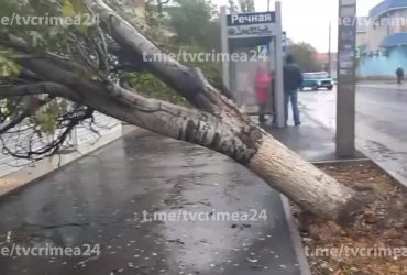 Разрушительная стихия на южном побережье оккупированного Крыма