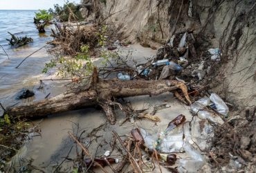 На пластике в реках могут расти опасные и устойчивые к антибиотикам микробы, - ученые