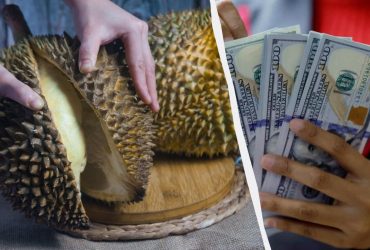 В Азії за поїдання цього фрукта можна отримати штраф 100 доларів: про що попередили туристів