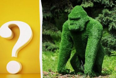 Напрочуд складна оптична ілюзія: знайдіть зайця у парку за 7 секунд