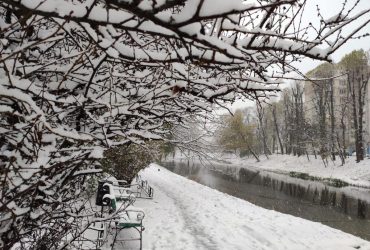 Київ вночі засипало першим снігом
