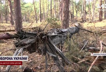 Вигорілі гектари лісу, забруднені боєприпасами: по Великомихайлівському лісництву "прилітає" з усіх боків