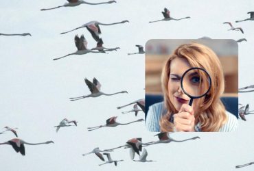 Сверхсложная головоломка: проверьте себя всего за 6 секунд