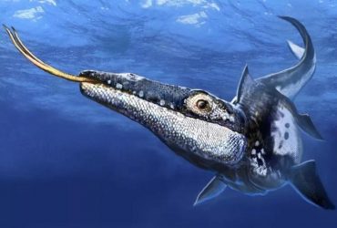 Виявлено невідомого раніше грізного хижака, який панував у морі 90 мільйонів років тому