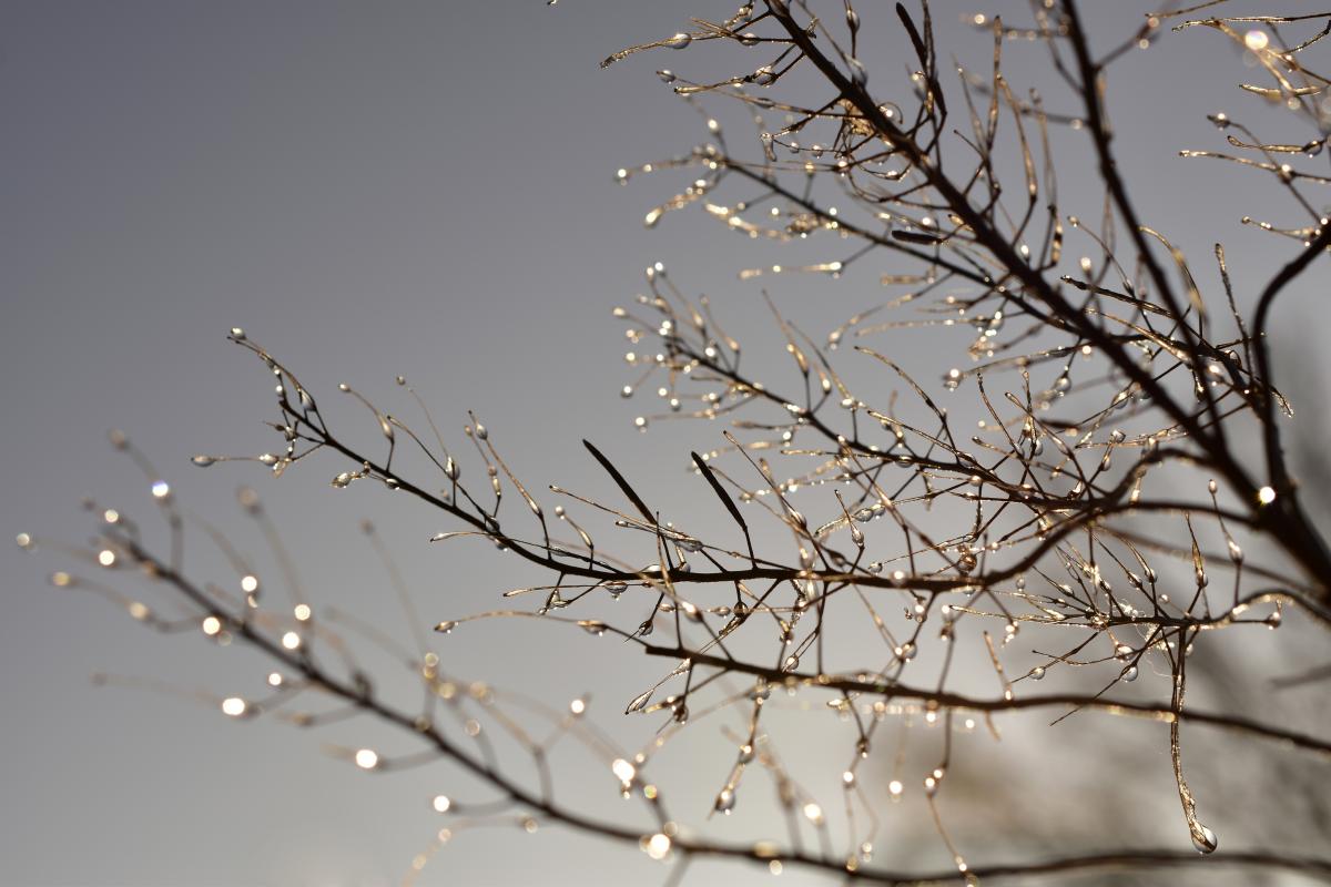 https://images.unian.net/photos/2023_12/1701780582-8191.jpg?r=313531