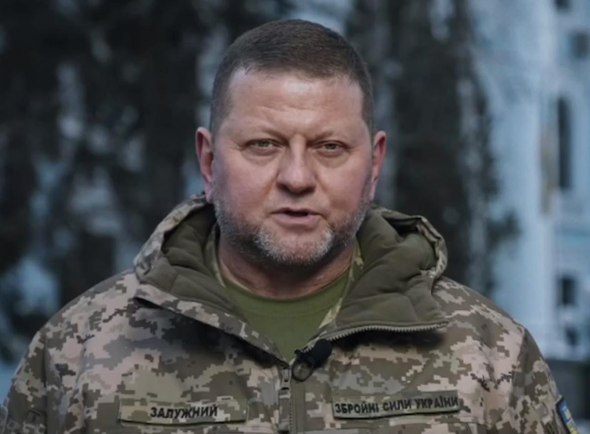 Ганна Маляр відреагувала на інформацію про нібито "відставку" Валерія Залужного / скріншот з відео