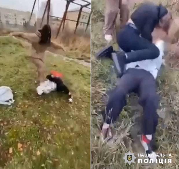 На Киевщине подростки жестоко избили девочку / facebook.com/pol.kyivregion На Киевщине подростки жестоко избили девочку / facebook.com/pol.kyivregion