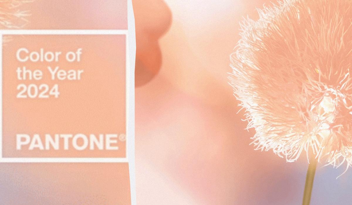 PANTONE 13-1023 Peach Fuzz / Коллаж УНИАН / Скриншот PANTONE 13-1023 Peach Fuzz / Коллаж УНИАН / Скриншот