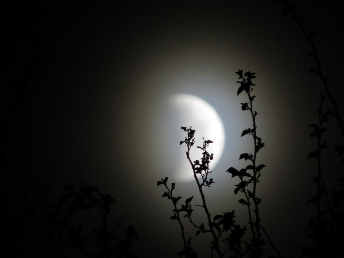 Каким будет последнее новолуние 2023 / pixabay.com Каким будет последнее новолуние 2023 / pixabay.com