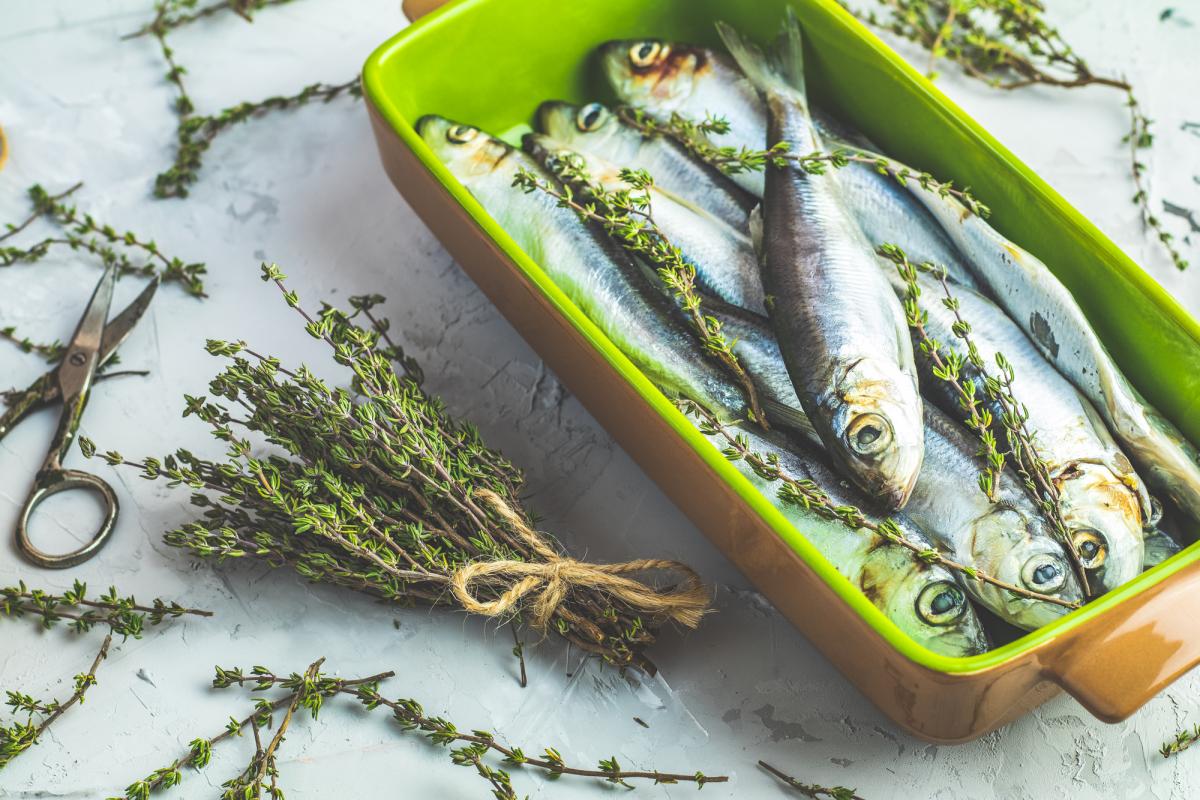 Сардины - это единственный здоровый продукт / фото ua.depositphotos.com Сардины - это единственный здоровый продукт / фото ua.depositphotos.com