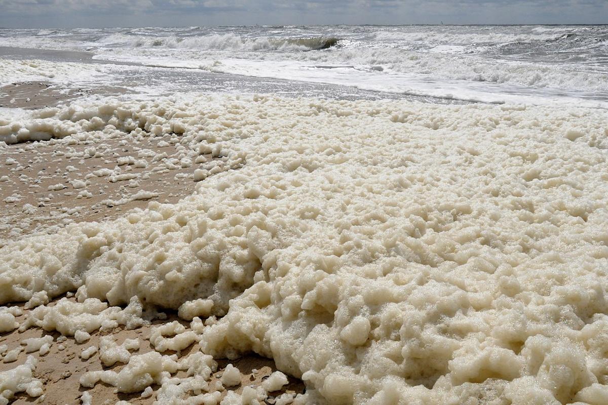 Морская пена может представлять реальную опасность для здоровья / фото wikipedia.org