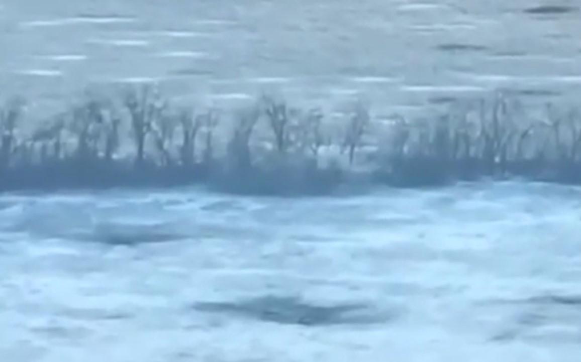 Артилеристи знищили російську гармату МТ-12 "Рапіра" / скриншот Артилеристи знищили російську гармату МТ-12 "Рапіра" / скриншот